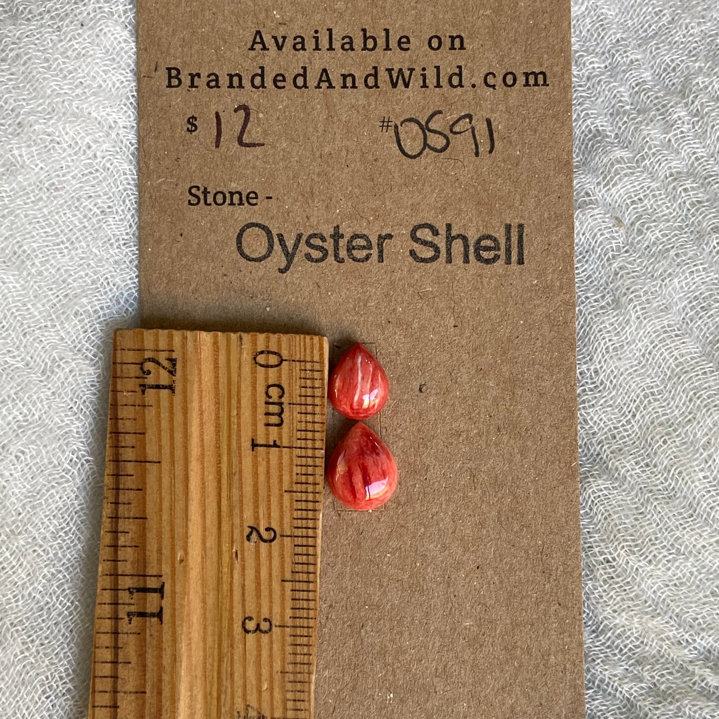 Oyster Shell Cabochon - OS91