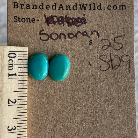 Sonoran Turquoise Cabochon - ST29