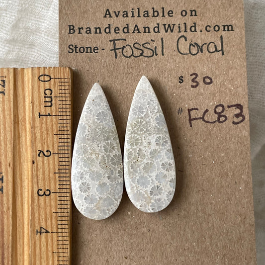 Fossil Coral Cabochon - FC83 CAFA000A-BB73-47E0-B43B-CF9338F69D87 Brandedandwild.com