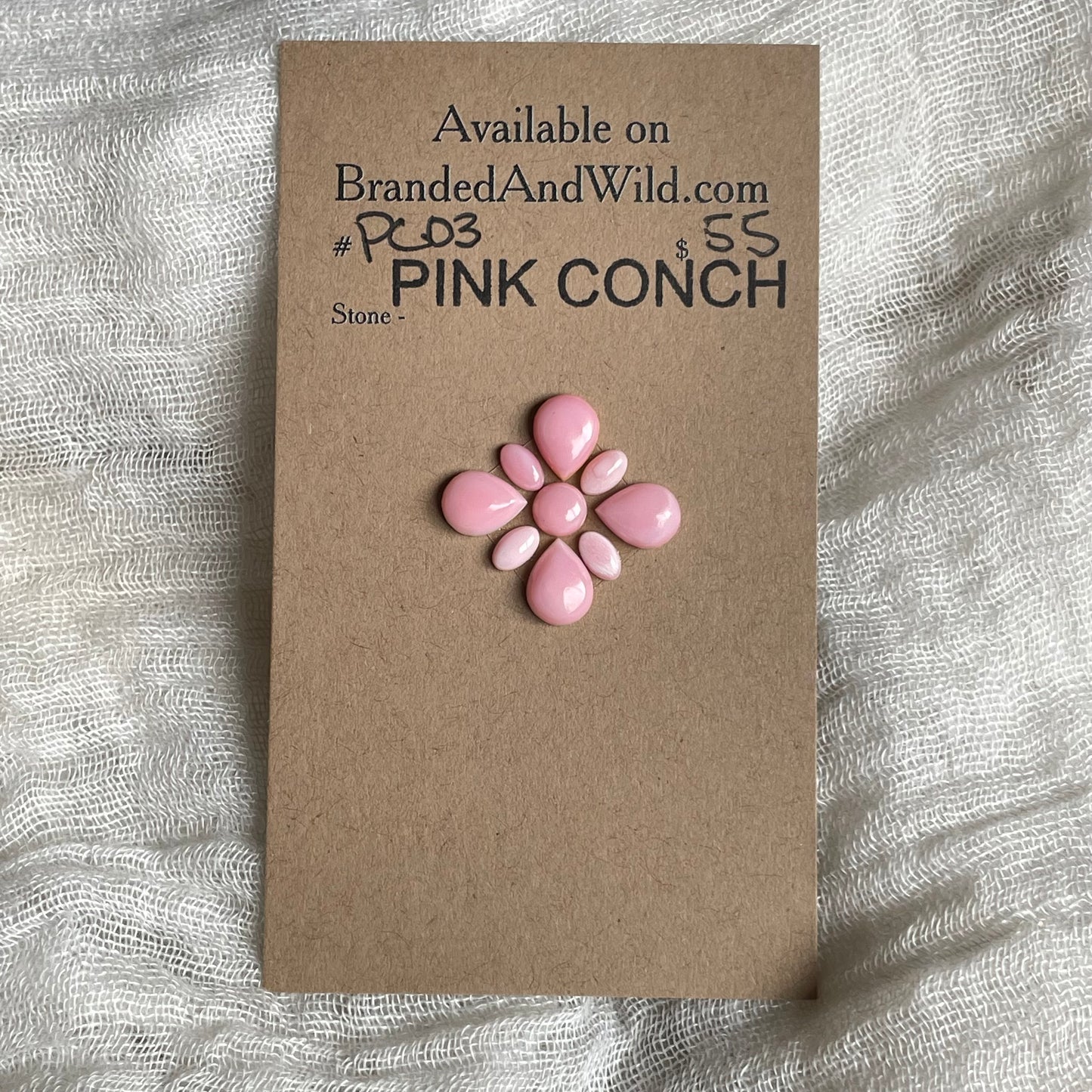 Pink Conch Cabochon - PC03 CB1FE709-D0A9-4EBC-B512-4210B0A6CFDC Brandedandwild.com