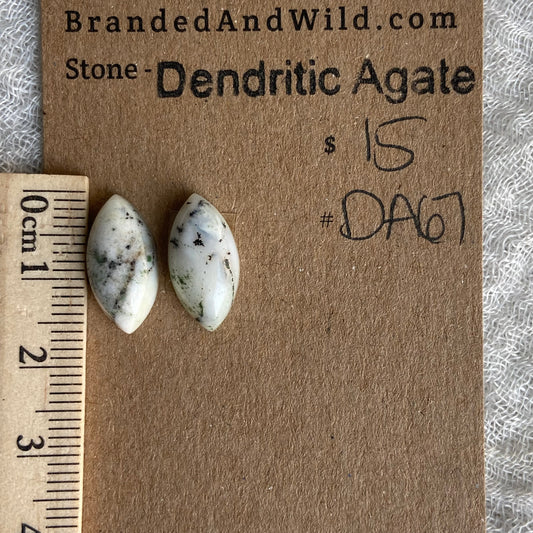 Dendritic Agate Cabochon - DA67