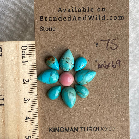 Pink Conch - Kingman Turquoise Cabochon - MIX69