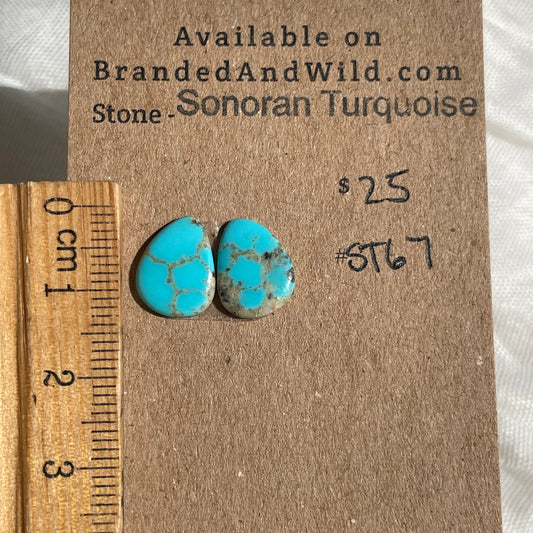 Sonoran Turquoise Cabochon - ST67 CB37759D-89F8-43F8-BD29-DF237B4453E3 Brandedandwild.com
