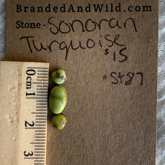 Sonoran Turquoise Cabochon - ST87