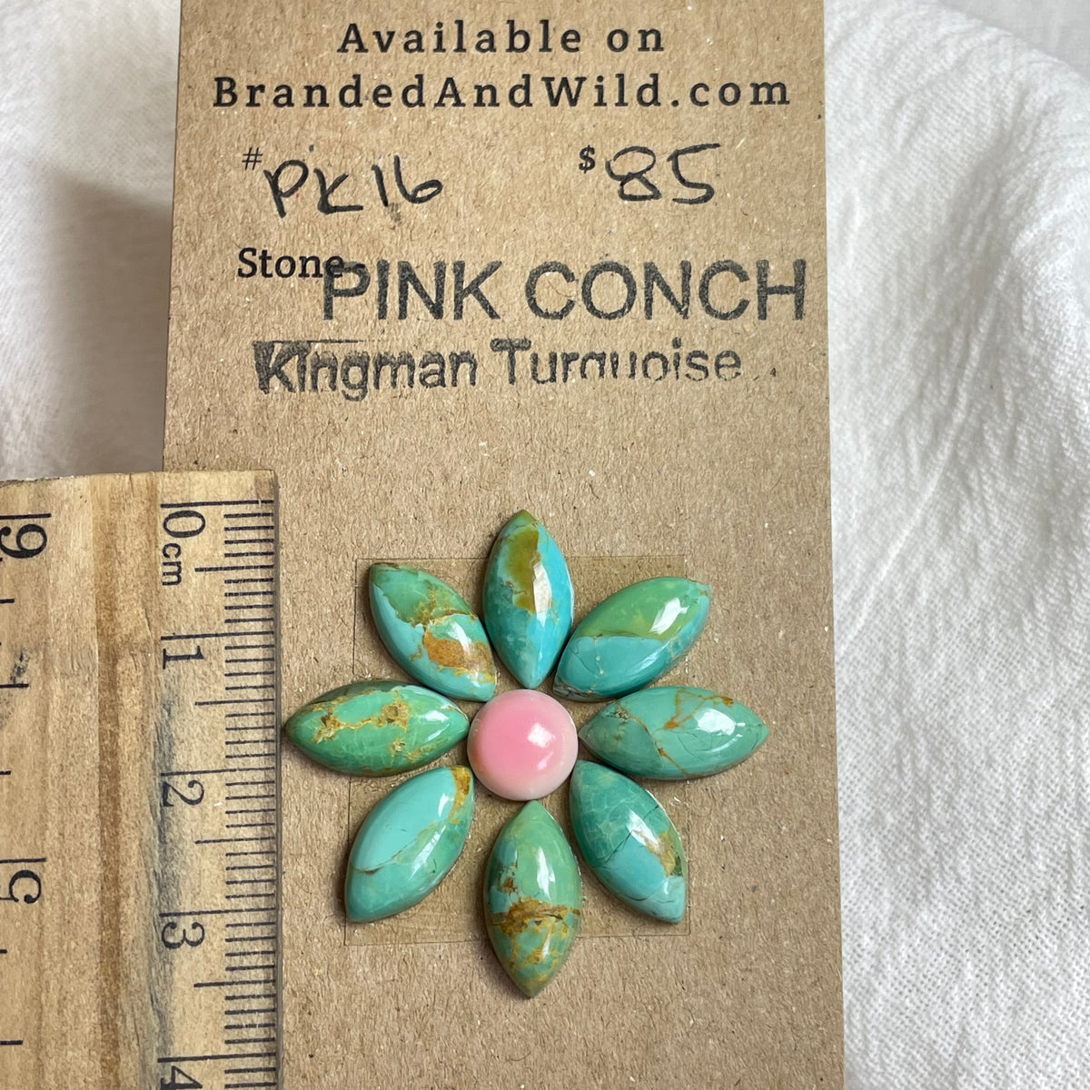 Pink Conch / Kingman Turquoise Cabochon - PK16