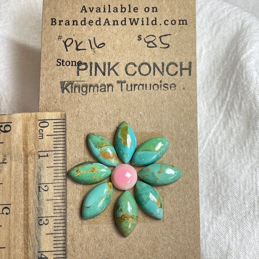 Pink Conch / Kingman Turquoise Cabochon - PK16 CB6B13B6-6F65-4BFE-BDFF-D117DEB858D8 Brandedandwild.com
