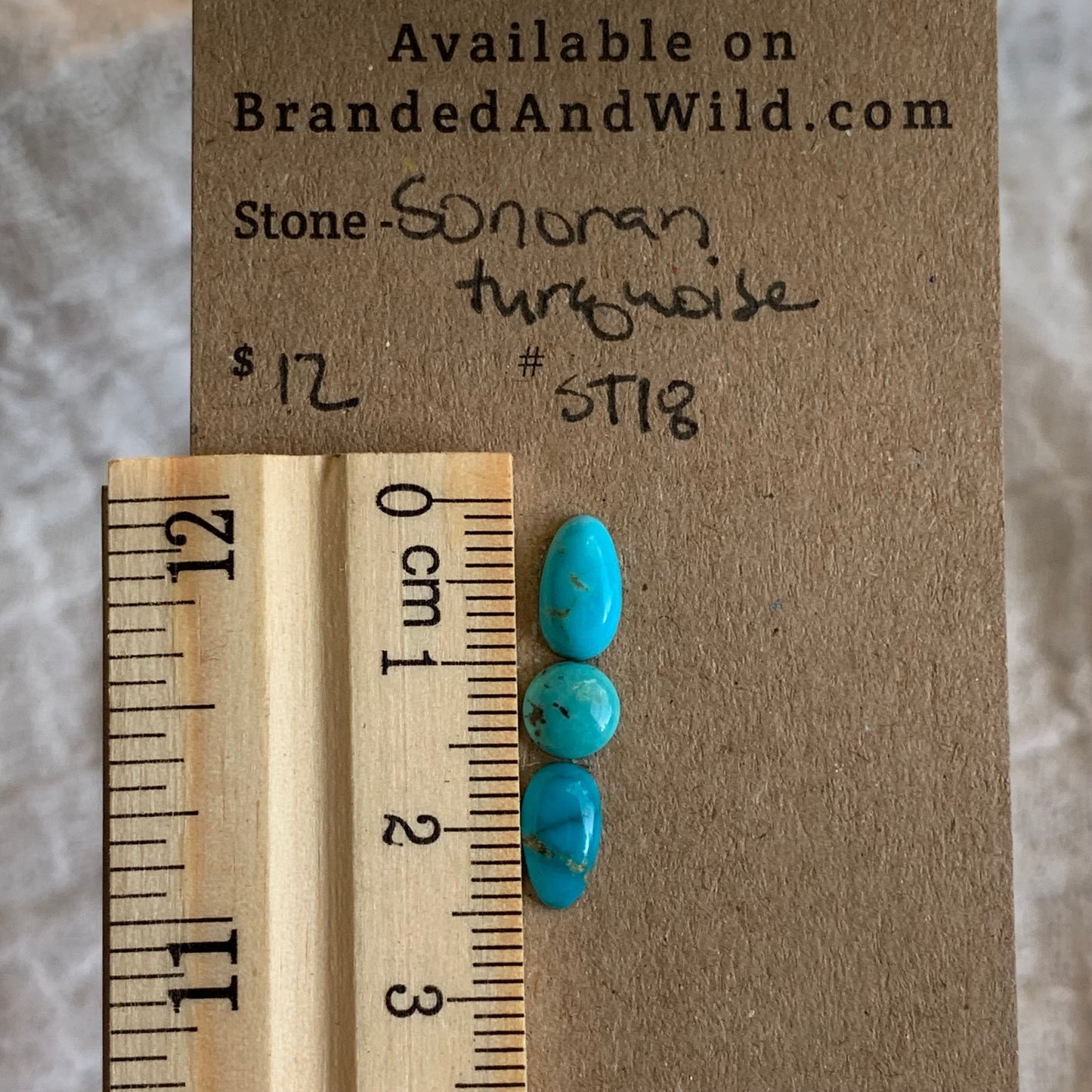 Sonoran Turquoise Cabochon - S018