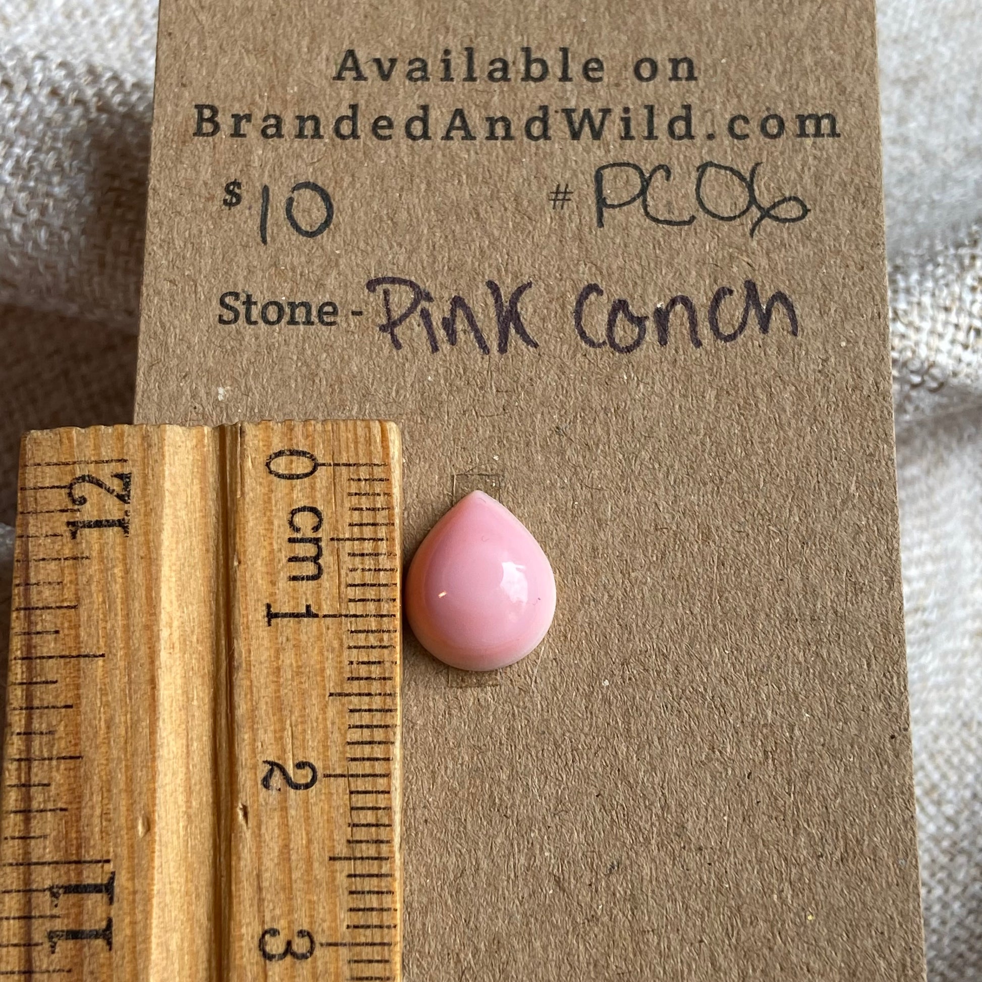 Pink Conch Cabochon - PC09 CB6BF65E-3F54-41BD-9173-F6C1852A25E1 Brandedandwild.com