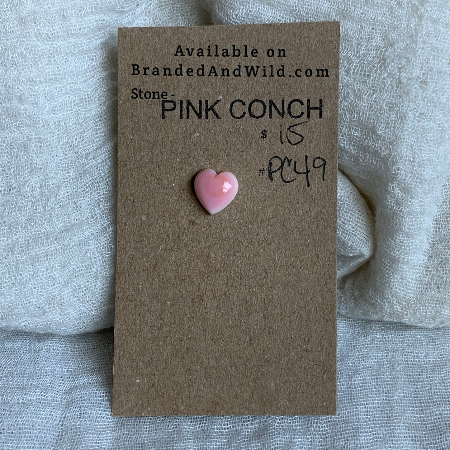 Pink Conch Cabochon - PC49