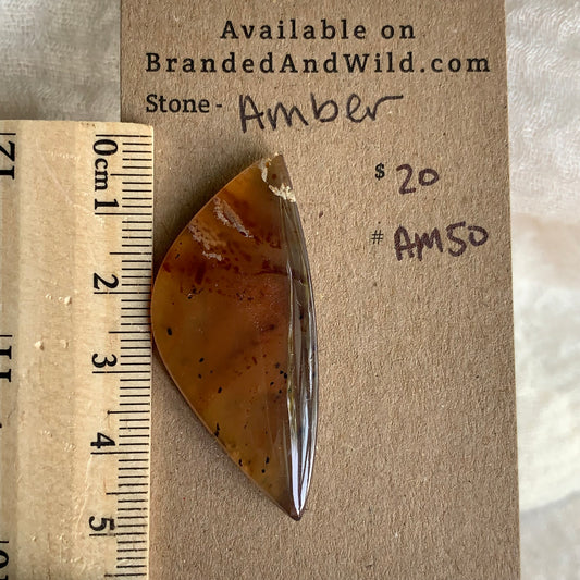 Amber Cabochon AM50