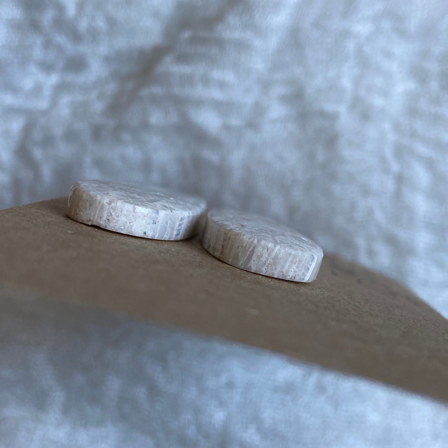 Fossil Coral Cabochon - FC14
