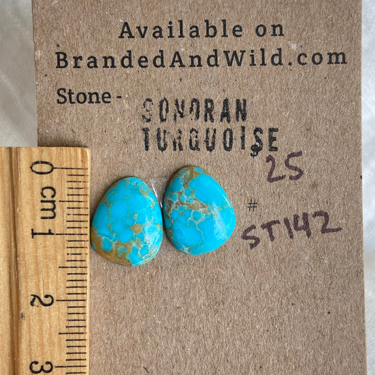Sonoran Turquoise Cabochon - ST142
