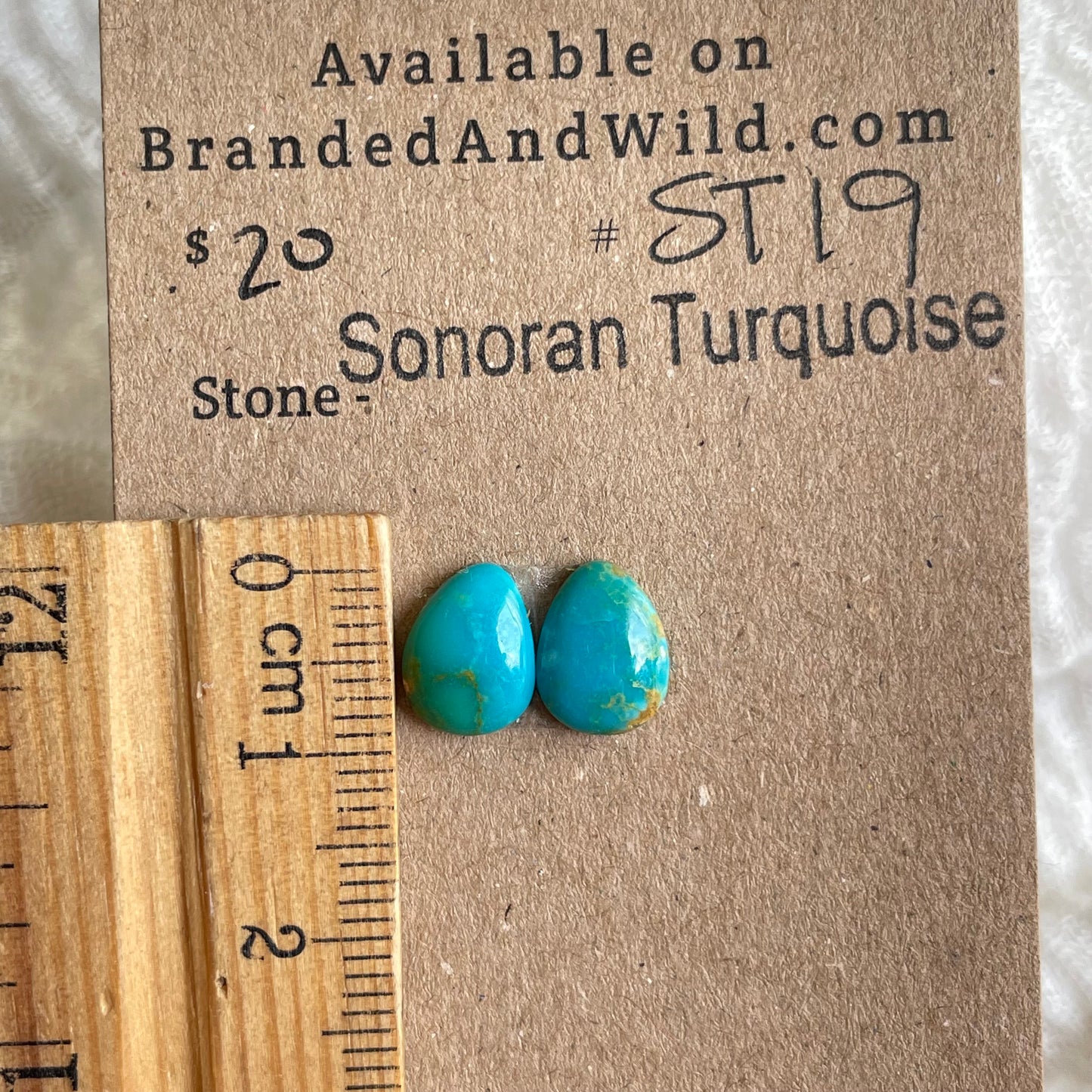 Sonoran Turquoise Cabochon - ST19 CBE996F2-8571-4545-AFC4-73D4A3FCEFB5 Brandedandwild.com
