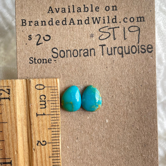Sonoran Turquoise Cabochon - ST19 CBE996F2-8571-4545-AFC4-73D4A3FCEFB5 Brandedandwild.com