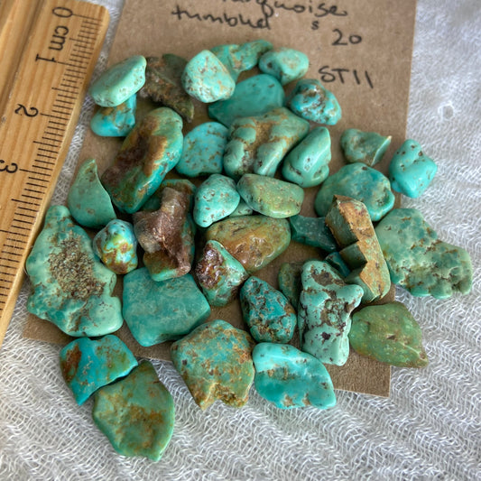 Rough Tumbled Sonoran Gold Turquoise - #ST11