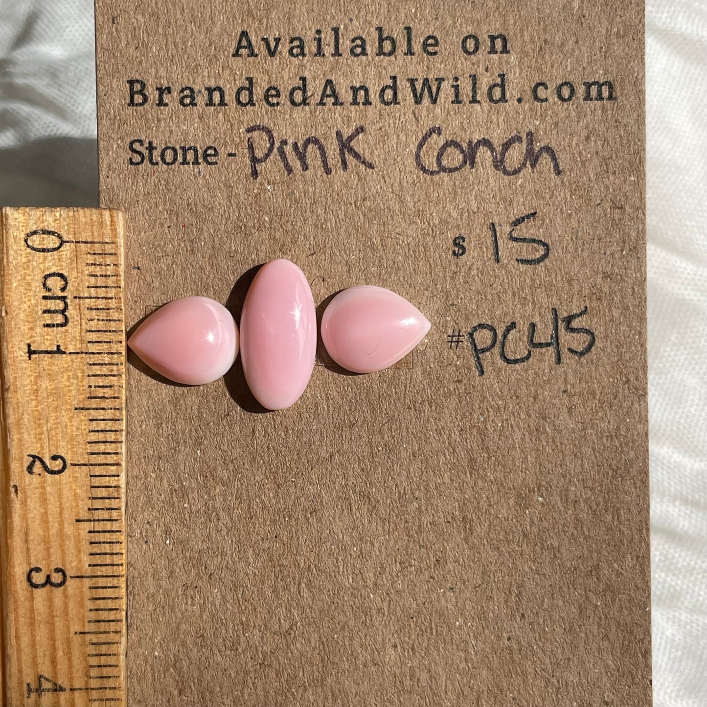 Pink Conch Cabochon - PC45 CBFE56BA-35E3-47F2-BD56-001E1039B397 Brandedandwild.com
