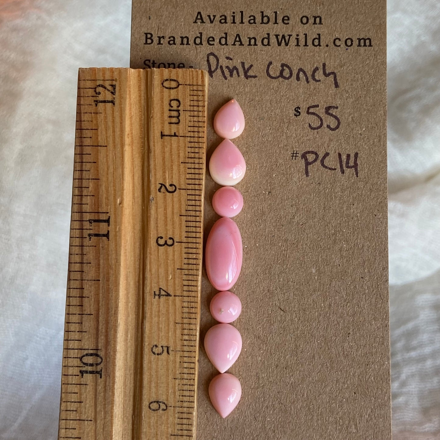 Pink Conch Cabochon - PC14