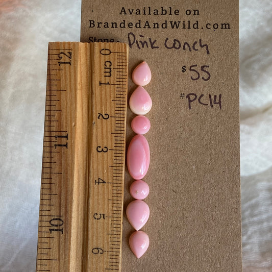 Pink Conch Cabochon - PC14