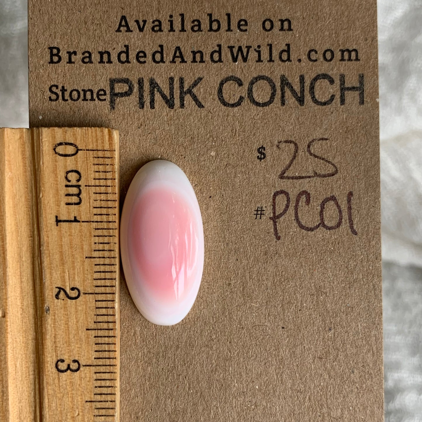 Pink Conch Cabochon - PC01