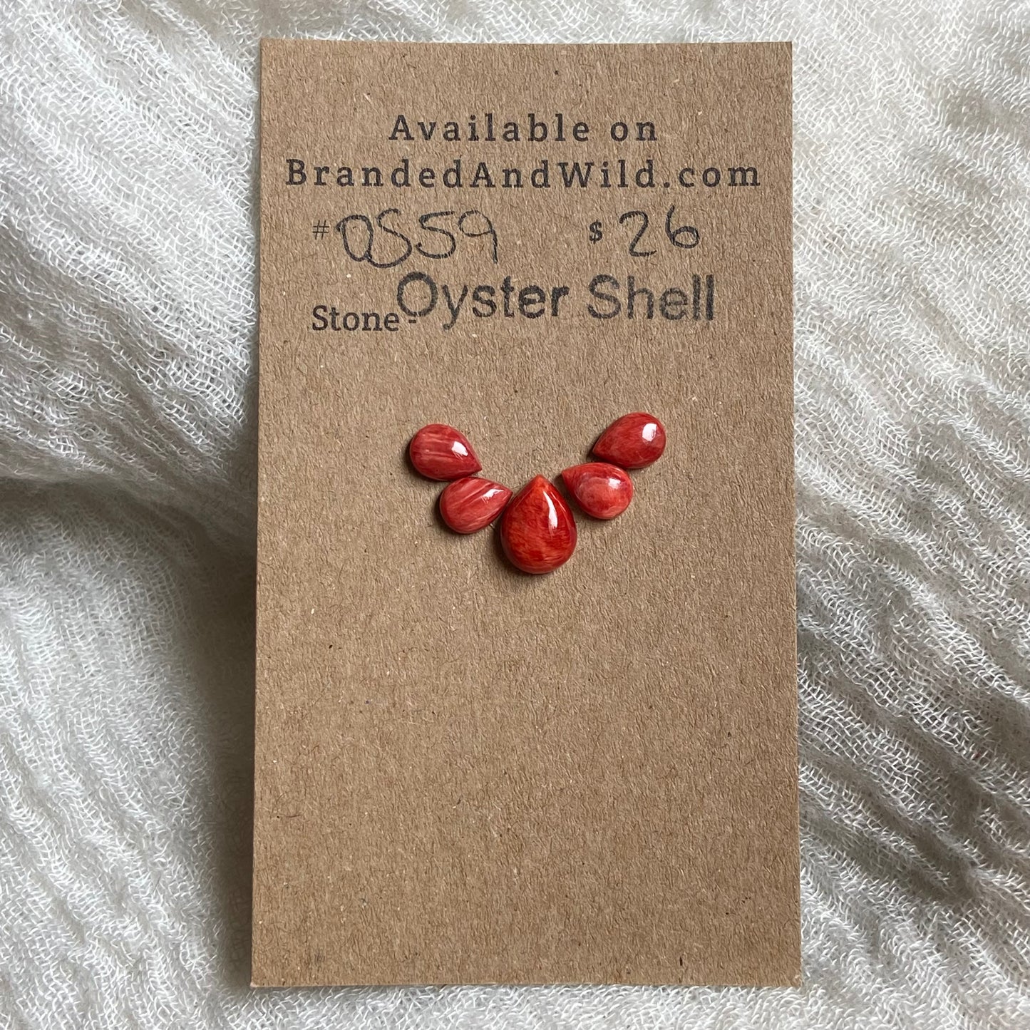 Oyster Shell Cabochon - OS59