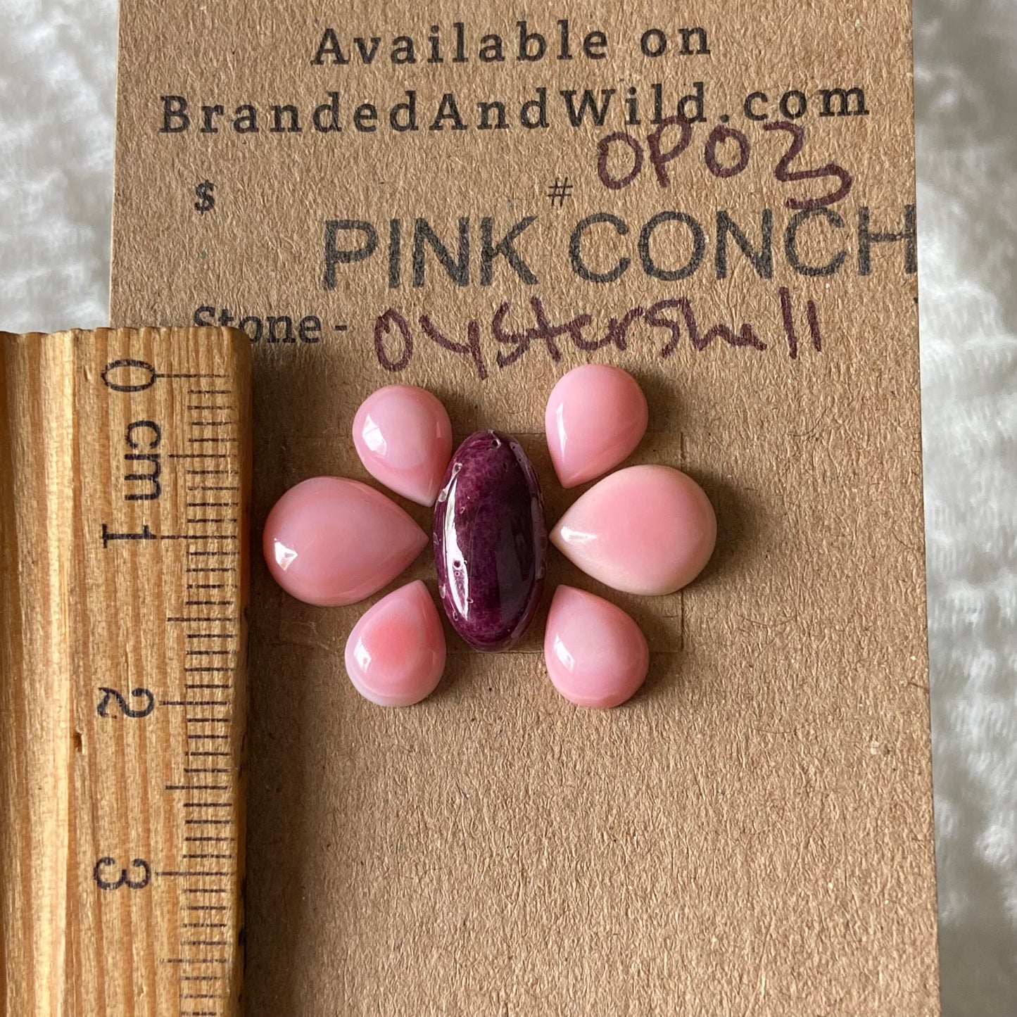 Pink Conch / Oyster Shell Cabochon - OP03