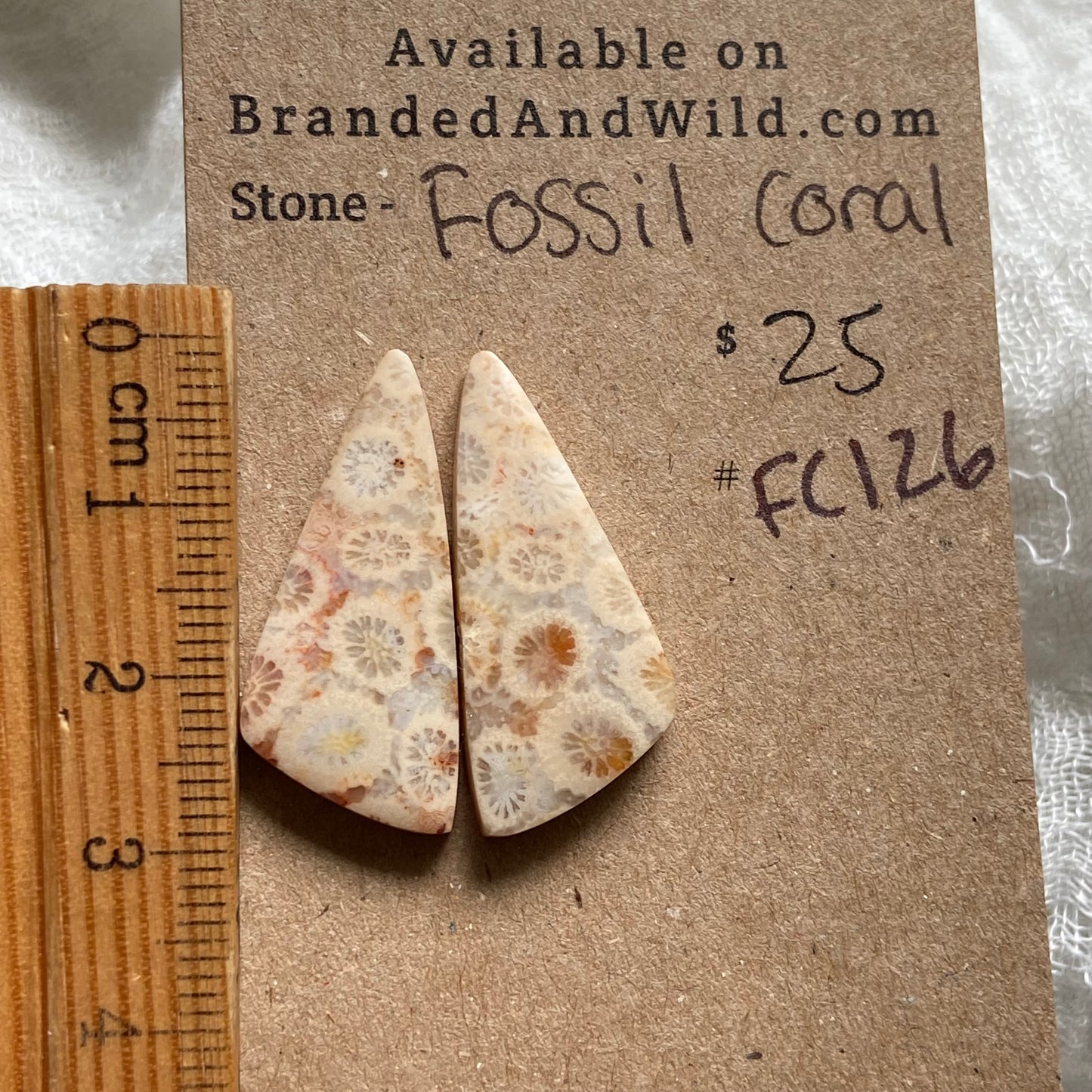 Fossil Coral Cabochon - FC126
