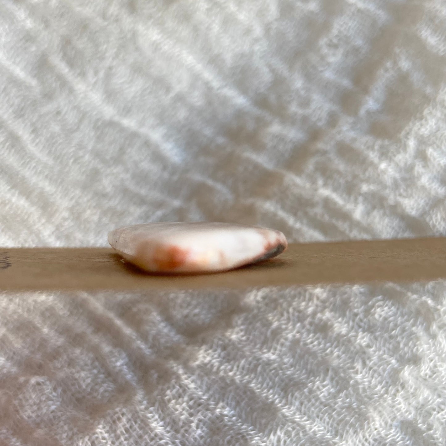 Scolecite Cabochon - S20
