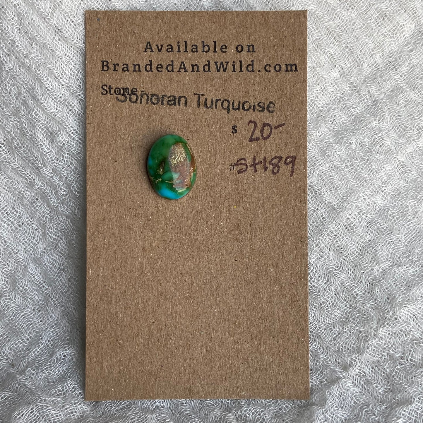 Sonoran Turquoise Cabochon - ST189