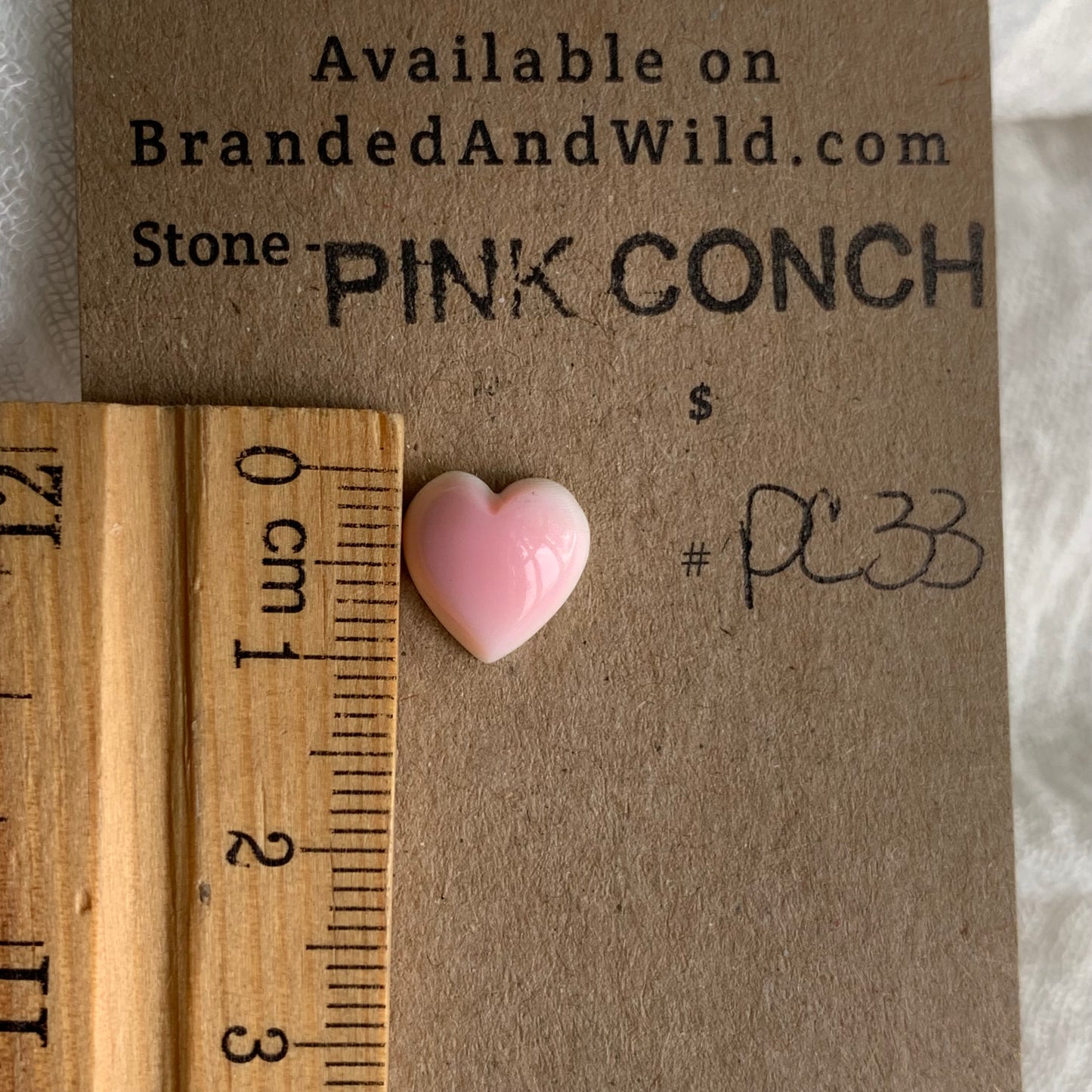 Pink Conch Cabochon - PC33