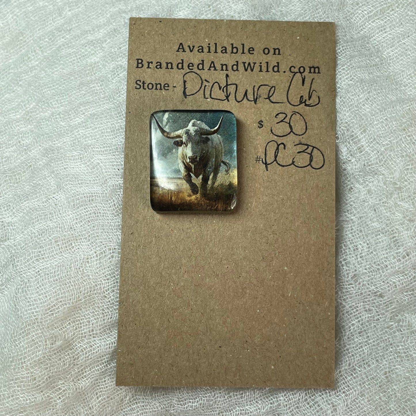 Picture Cabochon - Cabochon - PC30 CC88B010-914B-47E4-858A-5B56BD030727 Brandedandwild.com
