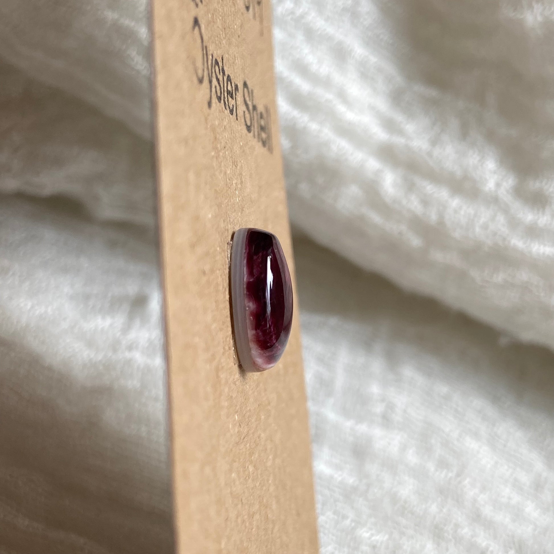 Oyster Shell Cabochon - OS79 CC909B96-689E-4EA7-B7C5-F86B2398C6E7 Brandedandwild.com