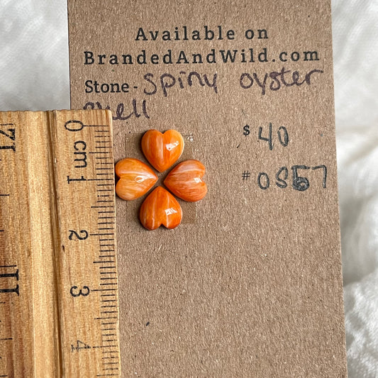 Spiny Oyster Shell Cabochon - OS57 CC9FD5B2-C005-4AD1-A402-9BF555BC186A Brandedandwild.com