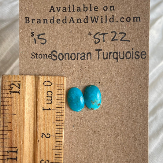 Sonoran Turquoise Cabochon - ST22 CCC56C79-55D9-4E4E-A631-23EDD675CA95 Brandedandwild.com