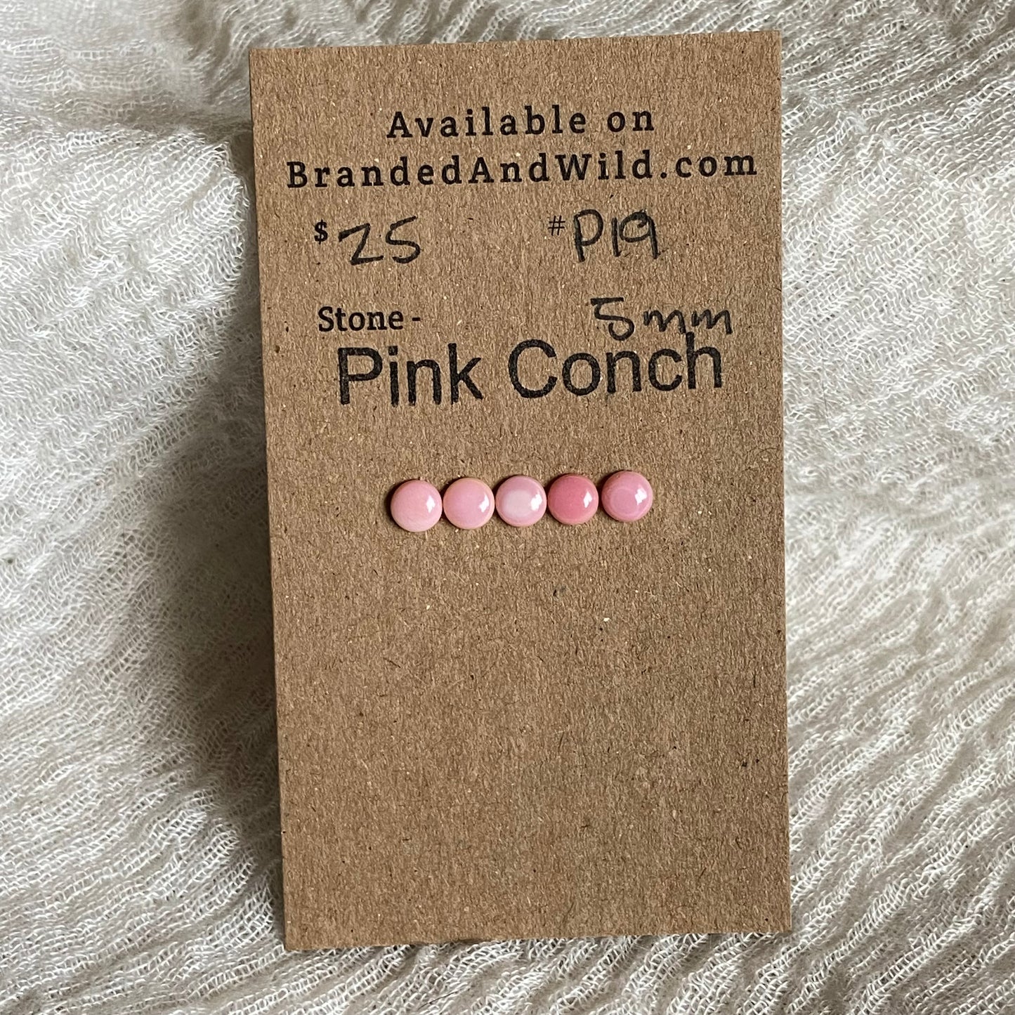 Pink Conch Cabochon - P19 CCD78F64-0D22-4055-8975-06C467AB4370 Brandedandwild.com