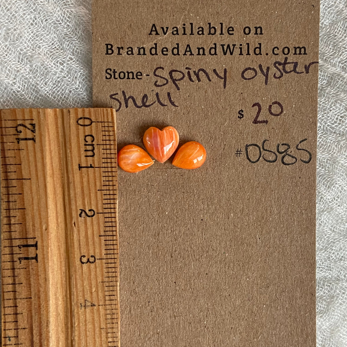 Oyster Shell Cabochon - OS85