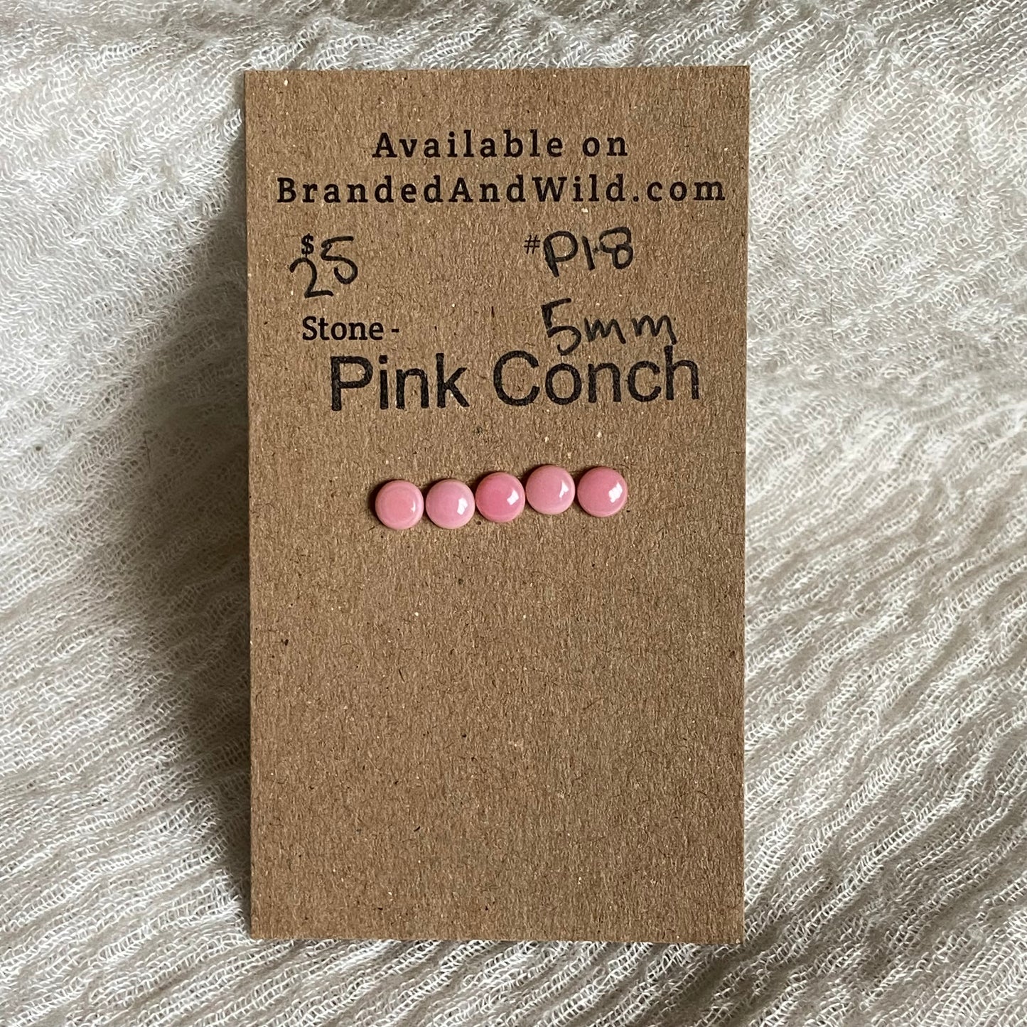 Pink Conch Cabochon - P18 CCF1D099-7D46-4E6F-9509-F1D4CBAB6379 Brandedandwild.com