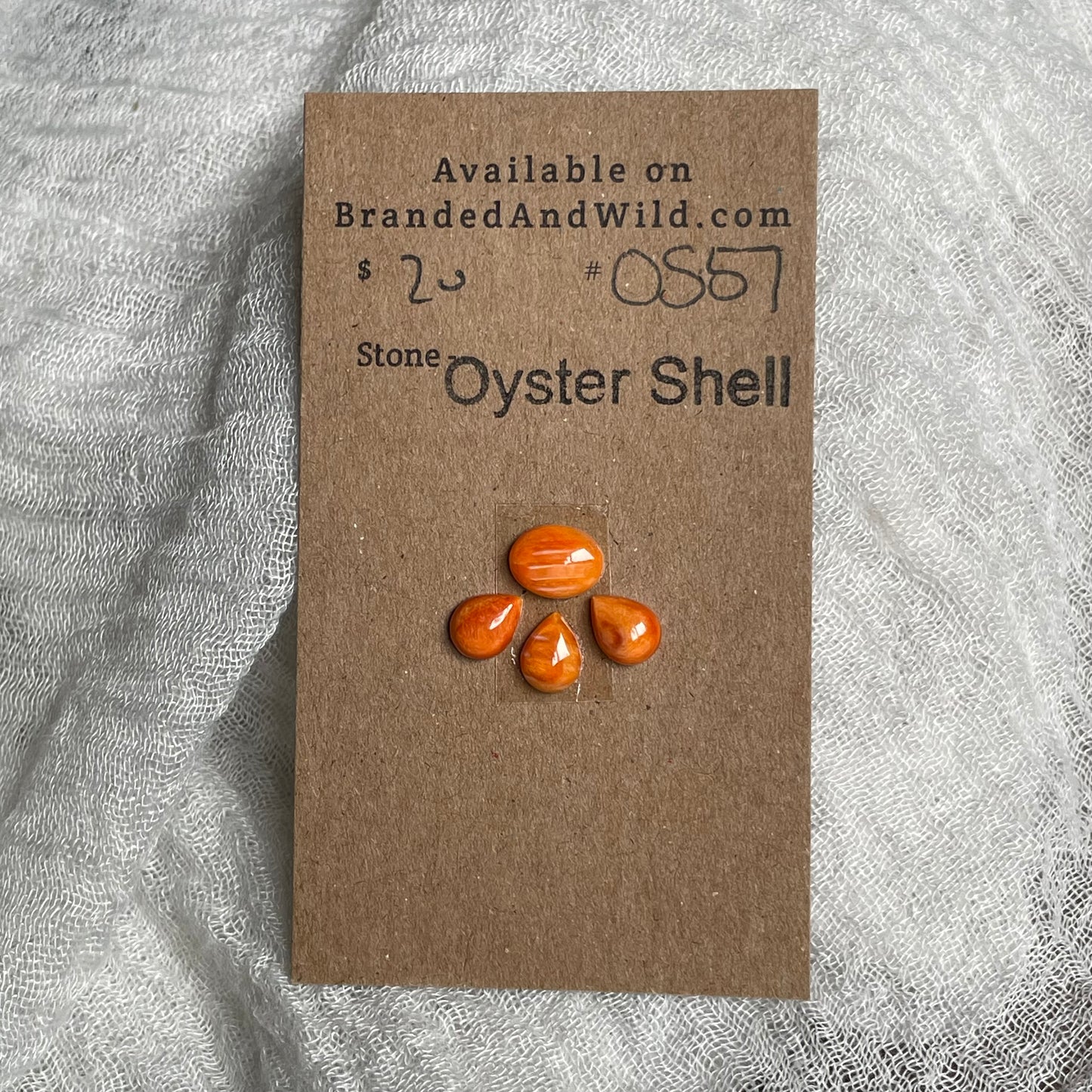 Oyster Shell Cabochon - OS57