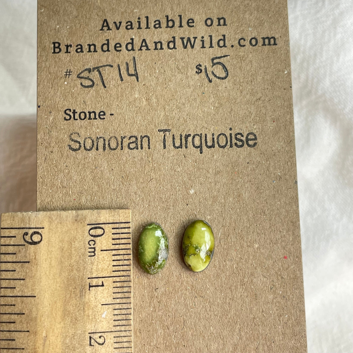 Sonoran Turquoise Cabochon - ST14 CD105056-7952-4971-B019-599070102EB2 Brandedandwild.com