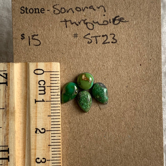 Sonoran Turquoise Cabochon - WH23