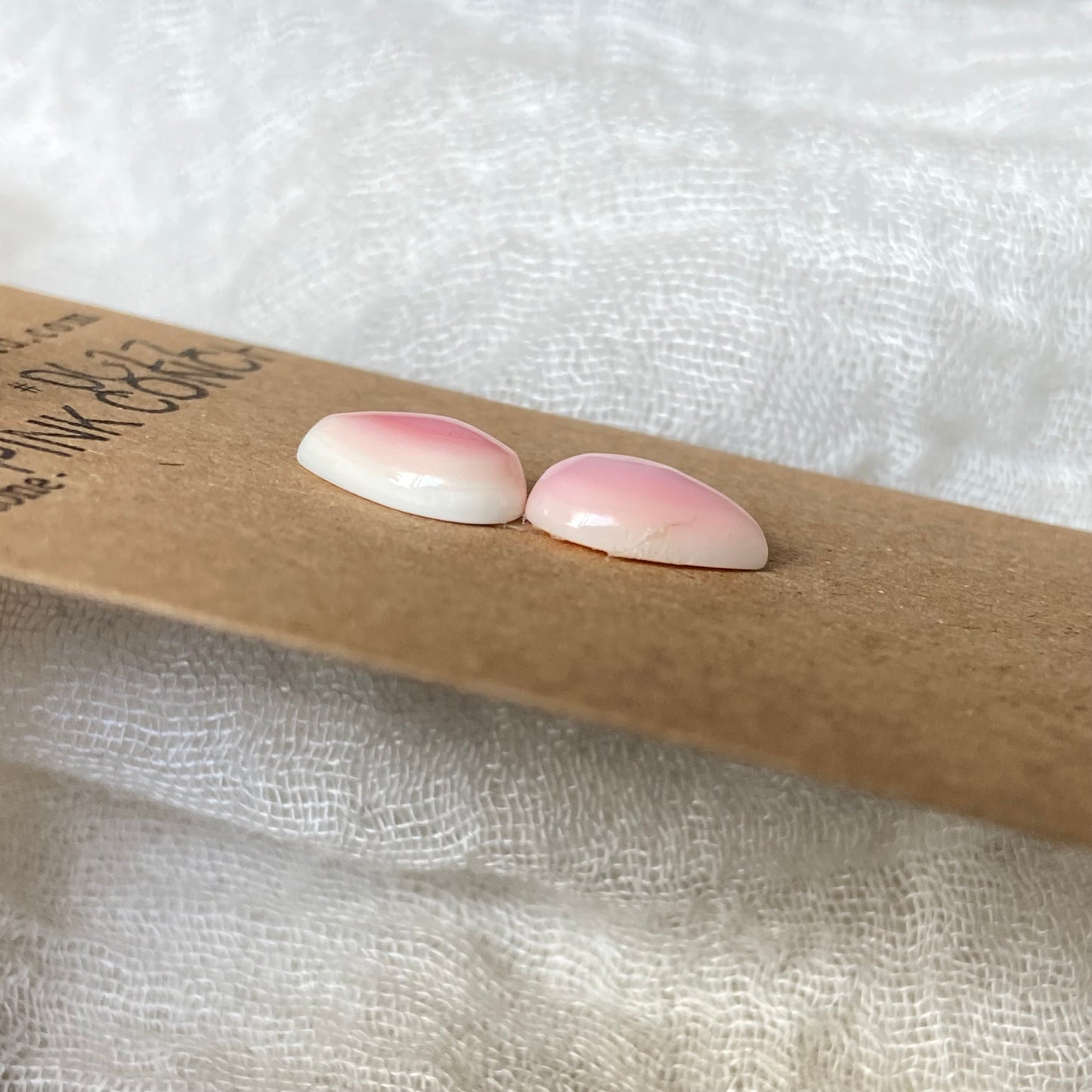 Pink Conch Cabochon - PC22 CD267A59-71FC-4C49-834D-12ED125C9077 Brandedandwild.com