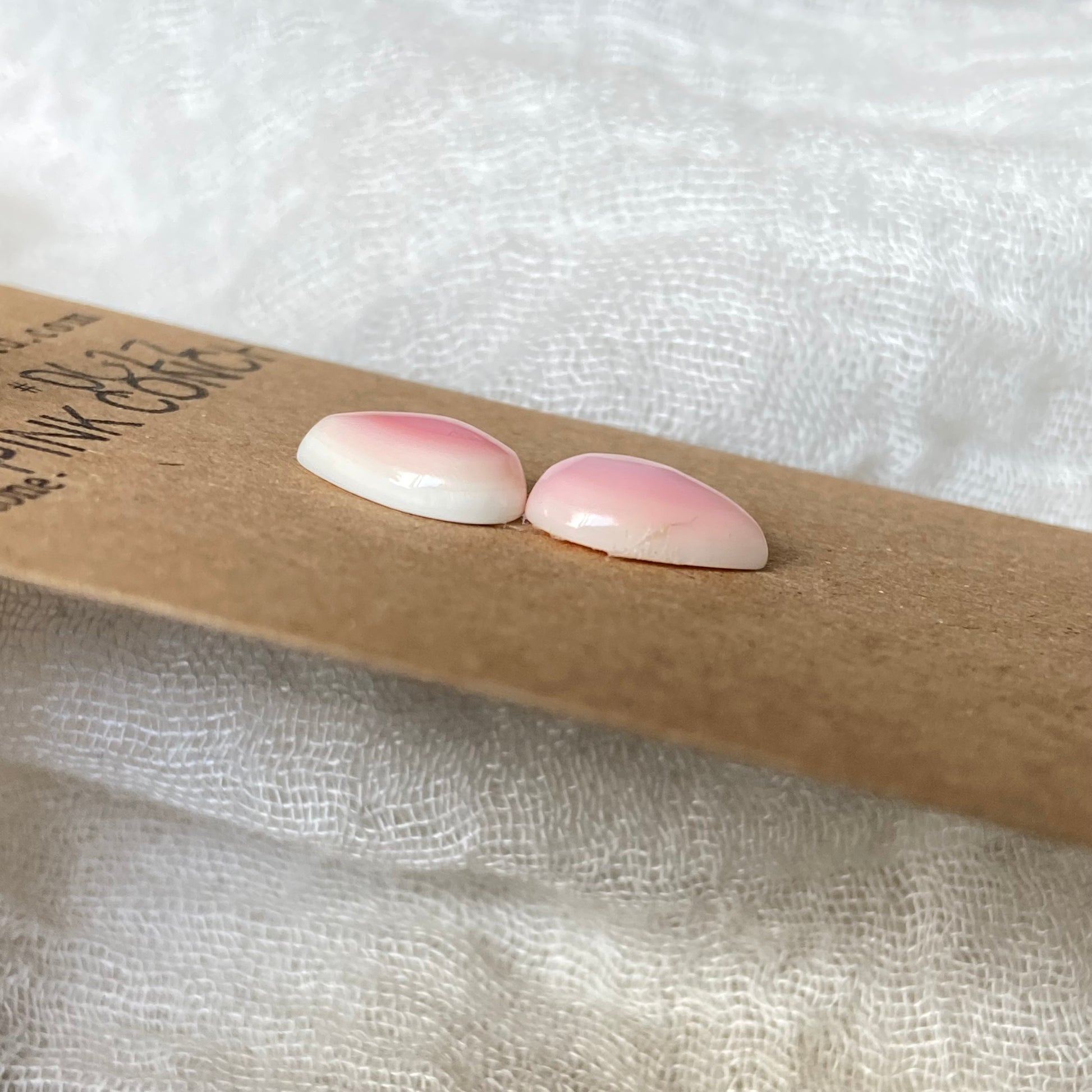 Pink Conch Cabochon - PC22 CD267A59-71FC-4C49-834D-12ED125C9077 Brandedandwild.com