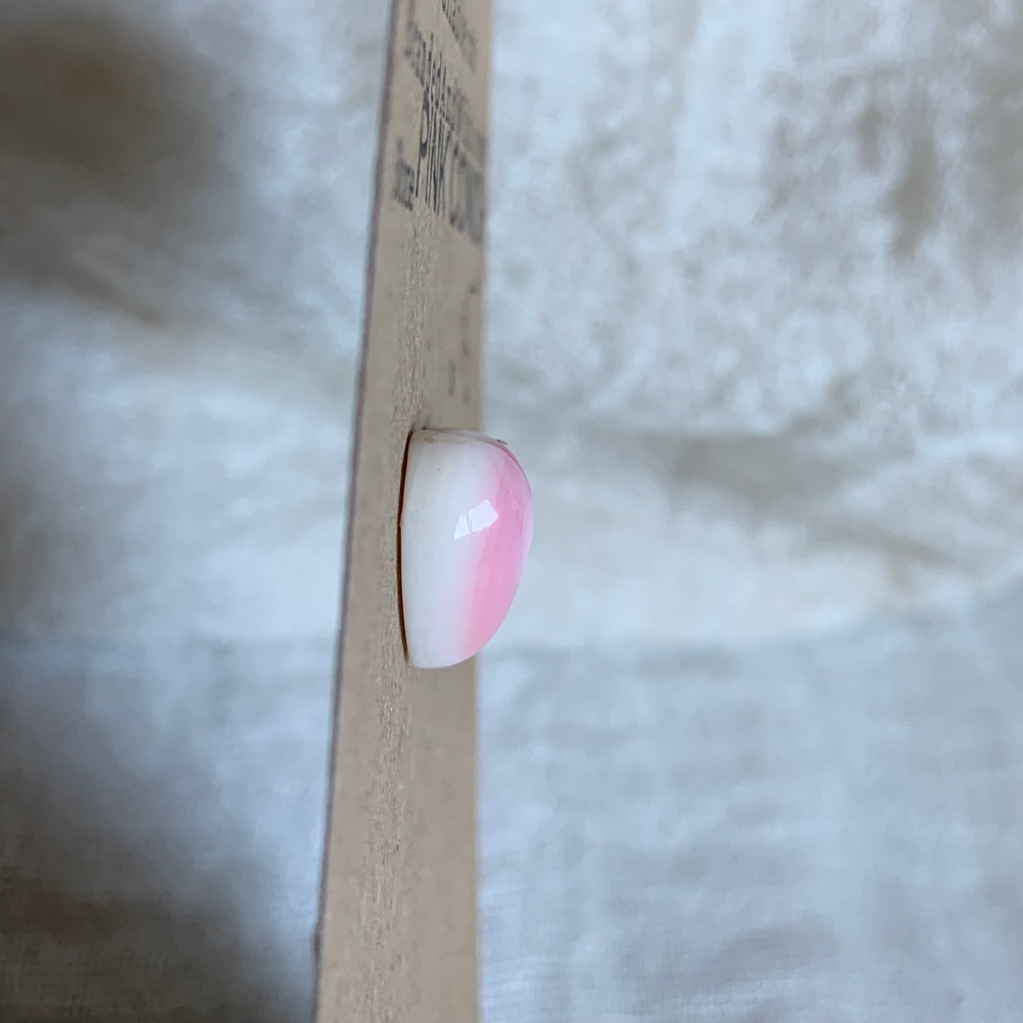 Pink Conch Cabochon - PC52