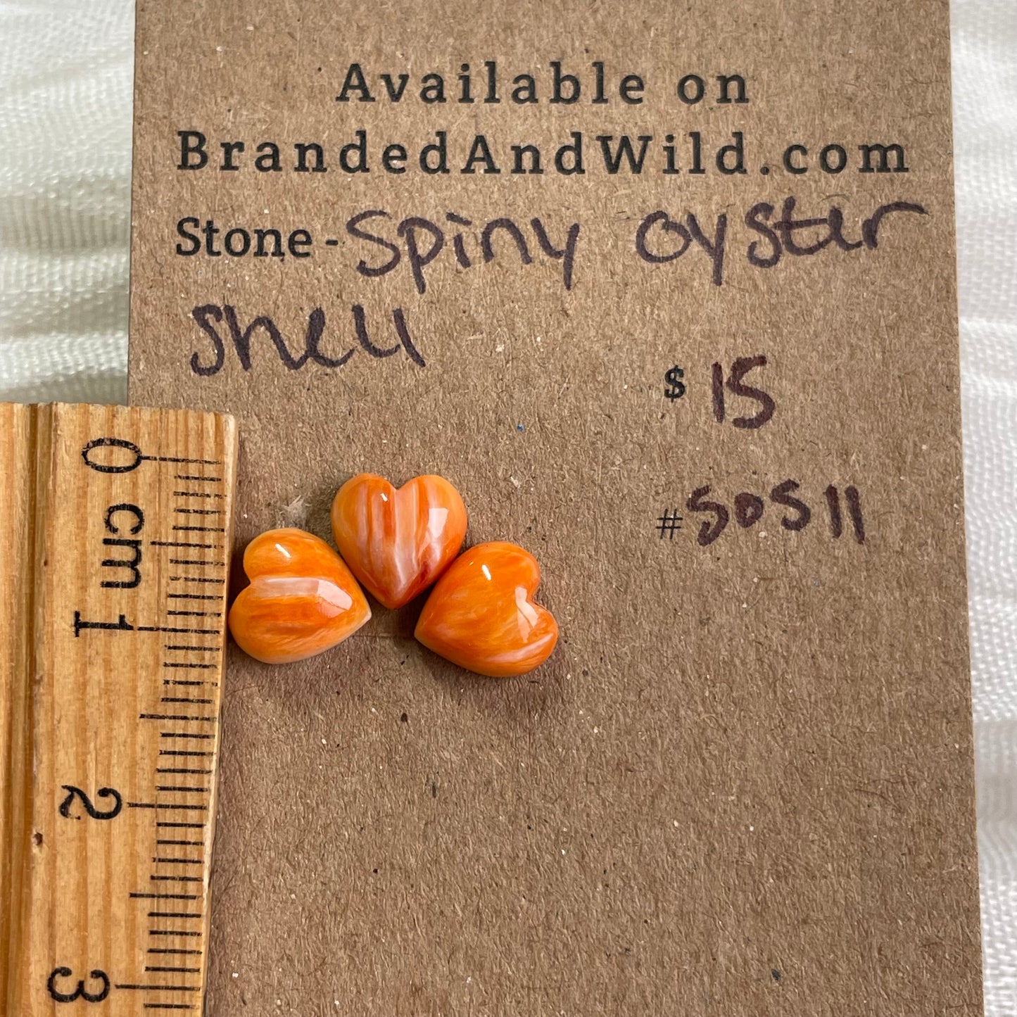 Oyster Shell Cabochon - S0S11 CD2AE88D-6526-4A92-B125-06592A48E69C Brandedandwild.com