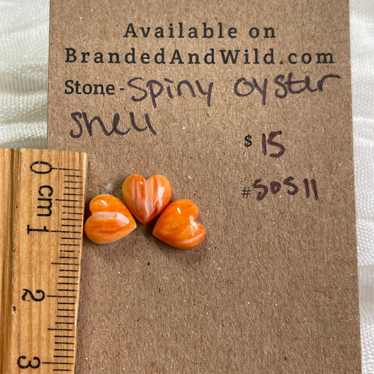 Oyster Shell Cabochon - S0S11 CD2AE88D-6526-4A92-B125-06592A48E69C Brandedandwild.com