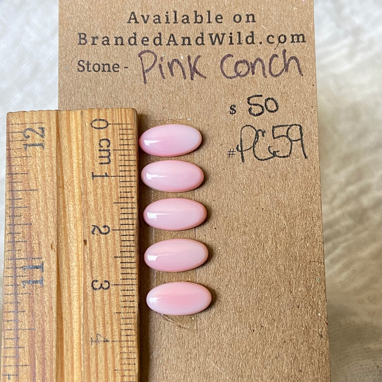Pink Conch Cabochon - PC59 CD3BB07F-51EA-4EF1-A570-E2F037EEAFEB Brandedandwild.com