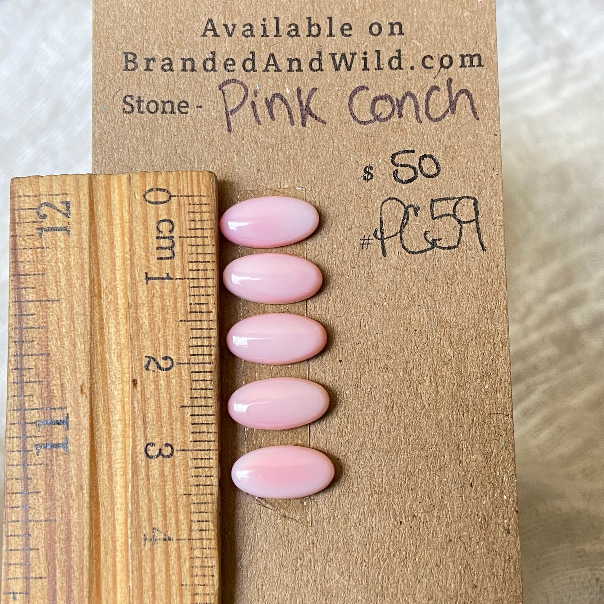 Pink Conch Cabochon - PC59 CD3BB07F-51EA-4EF1-A570-E2F037EEAFEB Brandedandwild.com