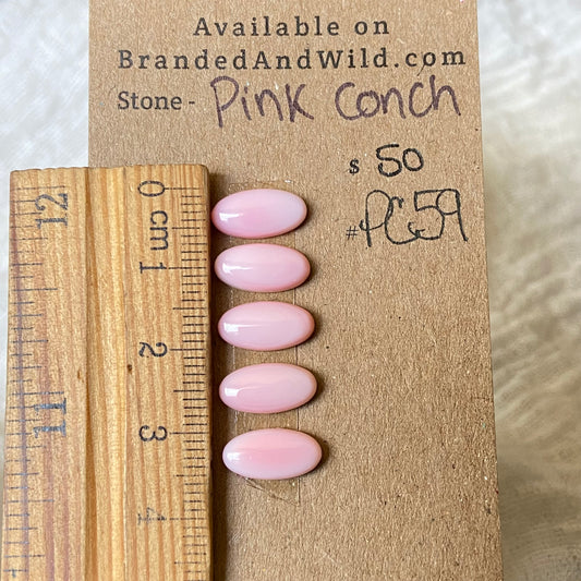 Pink Conch Cabochon - PC59 CD3BB07F-51EA-4EF1-A570-E2F037EEAFEB Brandedandwild.com