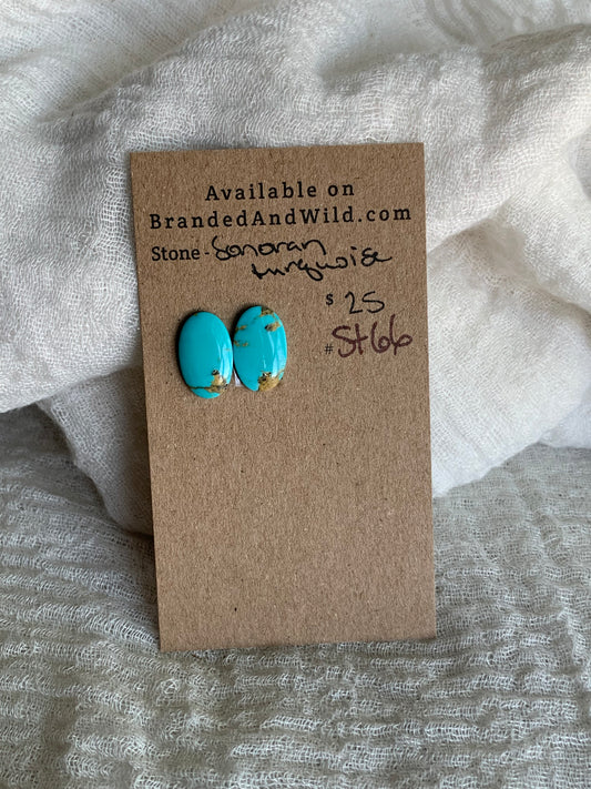 Sonoran Turquoise Cabochon - ST66