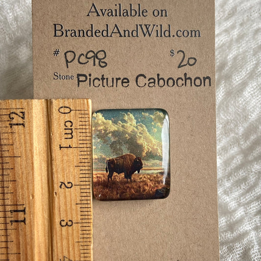 Picture Cabochon - Cabochon - PC98 CD872C21-556B-4778-B36D-8EC4F6636813 Brandedandwild.com