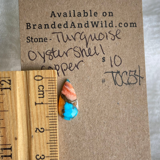 Turquoise, Oystershell, Copper Cabochon - TOC54